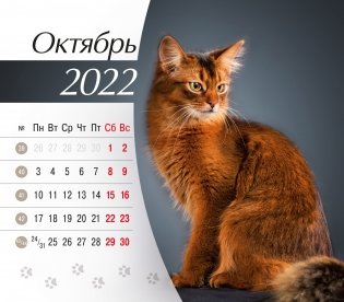 Календарь-домик (евро) "Кошки. Маркет" на 2022 год фото книги 3