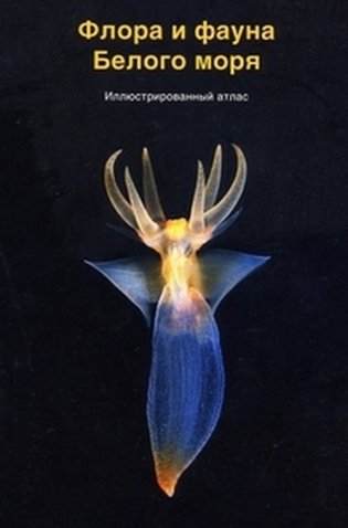 Флора и фауна Белого моря. Иллюстрированный атлас фото книги