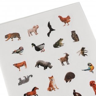 Альбом наклеек "Такие разные животные" (100 наклеек) фото книги 4