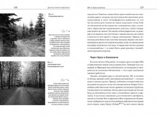 Дом на хвосте паровоза. Путеводитель по Европе в сказках Андерсена фото книги 8