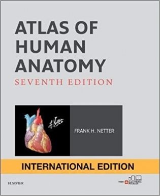 Atlas of Human Anatomy International Edition фото книги