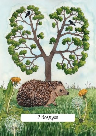 Таро ведьм (78 карт, инструкция) фото книги 25