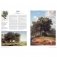 Самые известные деревья фото книги маленькое 6