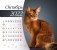 Календарь-домик (евро) "Кошки. Маркет" на 2022 год фото книги маленькое 4