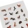 Альбом наклеек "Такие разные животные" (100 наклеек) фото книги маленькое 5