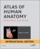 Atlas of Human Anatomy International Edition фото книги маленькое 2