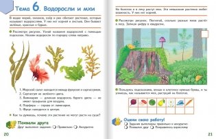 Знакомлюсь с растениями. Развивающая тетрадь для детей 6-7 лет. 1-е полугодие фото книги 9