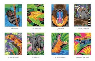 Mystery Coloring Wild Animals фото книги 2