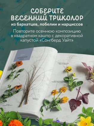 Магия контейнерного сада. Цветочный дизайн террас, веранд, балконов, патио и маленьких садов фото книги 6