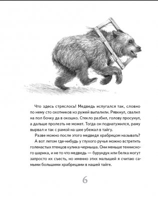 Иду по тайге фото книги 3