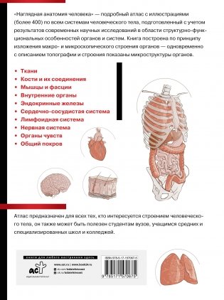 Наглядная анатомия человека. Подробный атлас с иллюстрациями фото книги 17