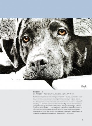 Тон, оттенки, контраст фото книги 5