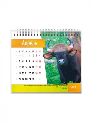 Календарь-домик на 2021 год "Символ года 2" (евро) фото книги 5