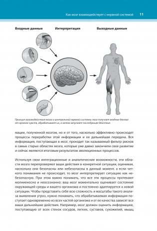 Настройка системы тело—мозг. Простые упражнения для активации блуждающего нерва против депрессии, стресса, болей в теле и проблем с пищеварением фото книги 9