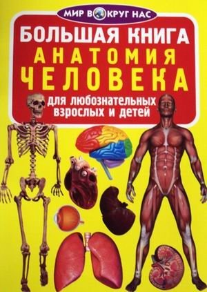 Большая книга. Анатомия человека. Для любознательных взрослых и детей фото книги