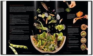 Modernist Cuisine at Home Spanish Edition фото книги 6