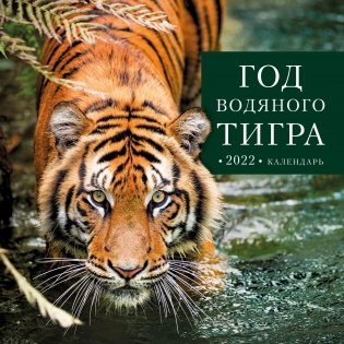 Год водяного тигра. Календарь настенный на 2022 год фото книги