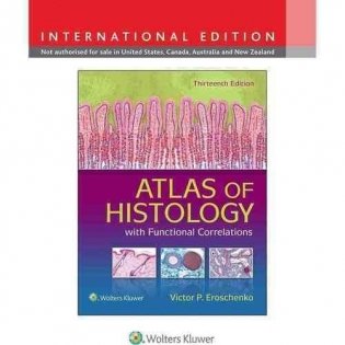 Atlas of Histology with Functional Correlations фото книги