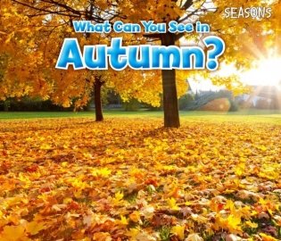 What Can You See in Autumn' фото книги