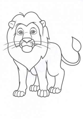 Раскраска. Зоопарк фото книги 2