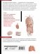 Наглядная анатомия человека. Подробный атлас с иллюстрациями фото книги маленькое 18