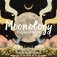 Moonology Calendar 2024 фото книги маленькое 2