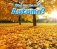 What Can You See in Autumn' фото книги маленькое 2