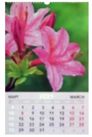 Календарь настенный перекидной на 2021 год "Цветы. Дизайн 1" фото книги 2