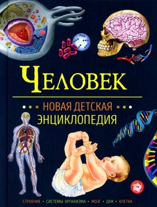 Человек. Новая детская энциклопедия фото книги