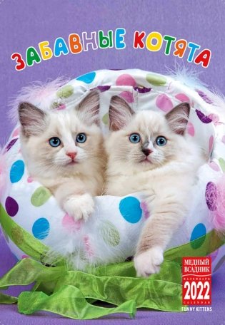 Календарь на 2022 год "Забавные котята" (КР21-22016) фото книги