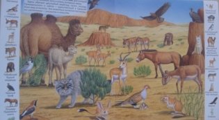 Животные и растения пустыни фото книги 5