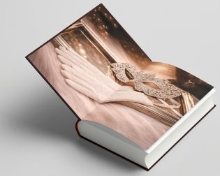 Порох и шёлк фото книги 4