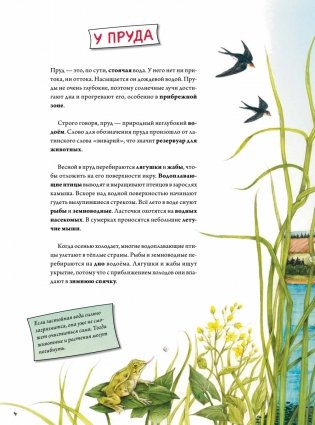 Животные и растения рек, озёр и морей. BIObook А. Толмачёва фото книги 3