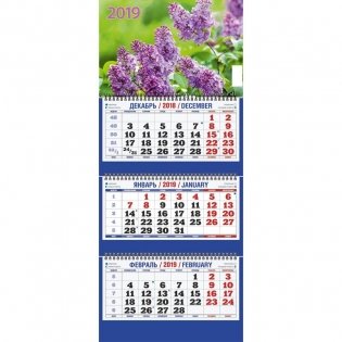 Календарь настенный на 2019 год "Сирень", 195х465 мм фото книги