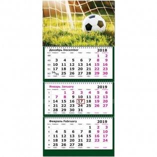 Календарь настенный трехблочный на 2019 год "Футбол", 305х675 мм фото книги