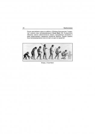 Visuai Basic в задачах и примерах + задачи ЕГЭ фото книги 10