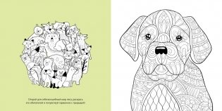 Животные-мандалы фото книги 4