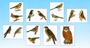 Мир в картинках. Птицы средней полосы. Наглядно-дидактическое пособие. ФГОС фото книги 2