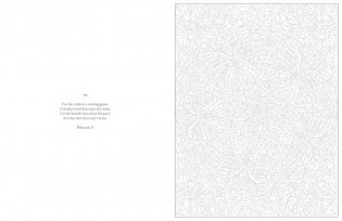 Mystery Coloring Mandalas фото книги 7