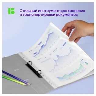 Папка на 2 кольцах Berlingo Metallic, 24 мм, 1000 мкм, серебряный металлик, D-кольца, с внутр. карманом. Арт. RB4_2D396 фото книги 7