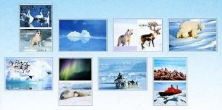 Мир в картинках. Арктика и антарктика. ФГОС фото книги 3