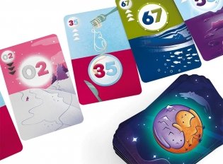 Кото-Комбо фото книги 4