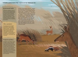 Степи, прерии, пампасы. Один год жизни исчезающего биома фото книги 4