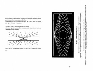Оптические иллюзии фото книги 2
