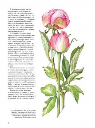 Портреты цветов от А до Я. Практическое руководство по рисованию акварелью фото книги 5