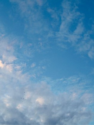 Шампанское: 8000 вкусов и ароматов фото книги 7