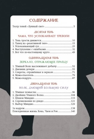 Магазин теней «Лунный свет». Книга 4. Тень надвигающейся тьмы фото книги 2