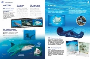 Подводный мир фото книги 6