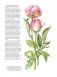 Портреты цветов от А до Я. Практическое руководство по рисованию акварелью фото книги маленькое 6