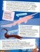 Почему в глубинах живут чудовища? Интересные факты о морских обитателях фото книги маленькое 3